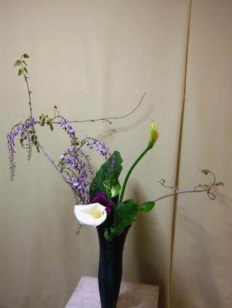 フジの花