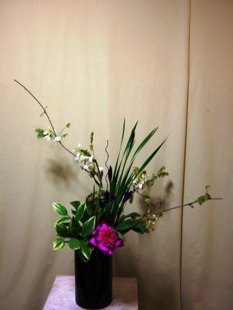 シャクヤク