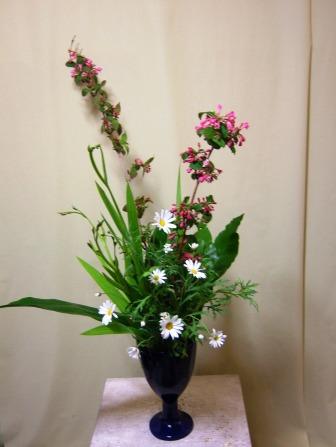 ウツギ