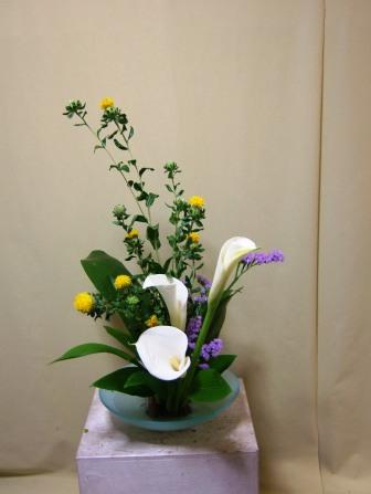 ベニ花