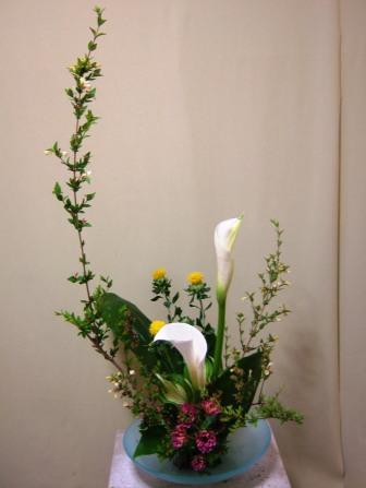ベニ花