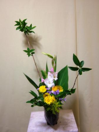 アスター