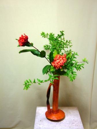 サンタンカ