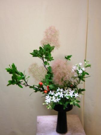 スモークツリー