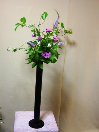 サンキライ