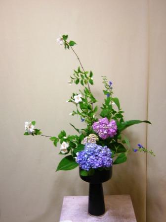 ウツギ