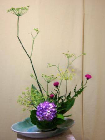 ウイキョウ