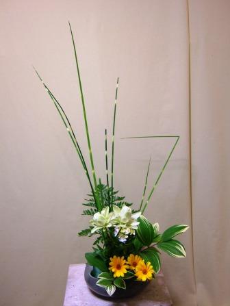 シマフトイ