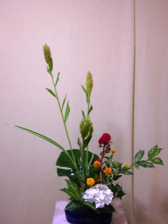 アワ