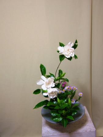 クチナシ
