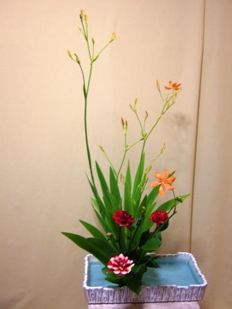 ヒオウギ