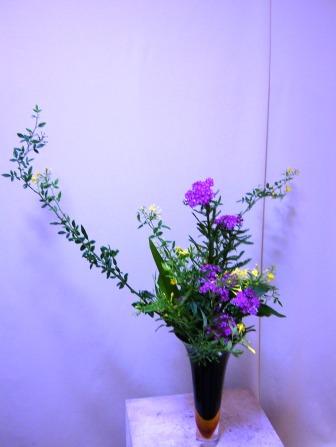 ノコギリソウ