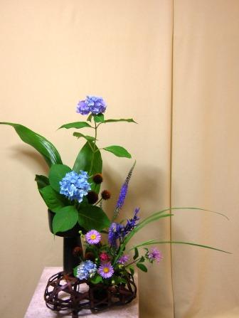 ブルーアジサイ