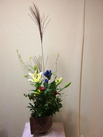 キンミズヒキ