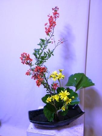 ピラカンサ