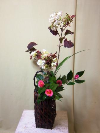 オオデマリ