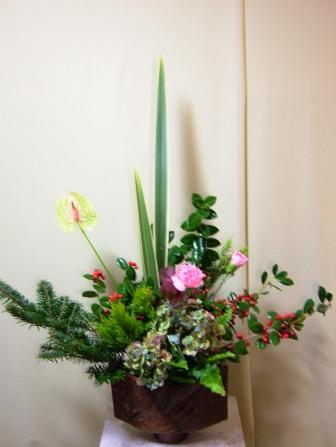 クリスマスホーリー