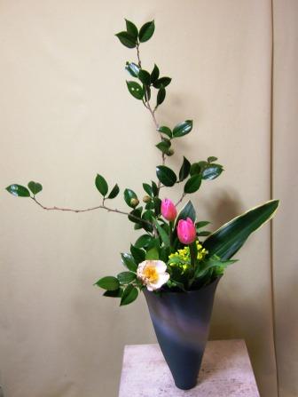 白玉椿