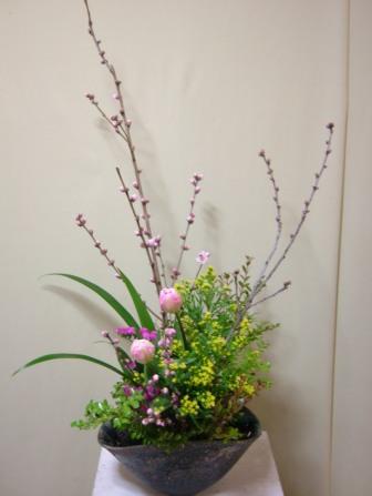 花モモ