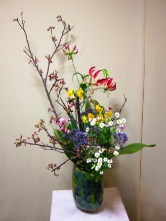 雪割り桜