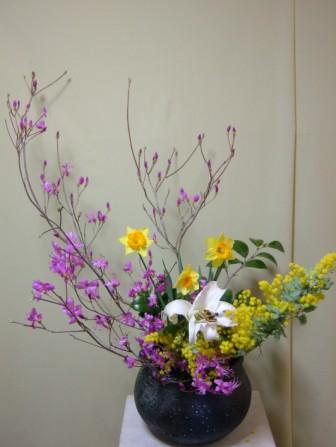 ムラサキ岩ツツジ