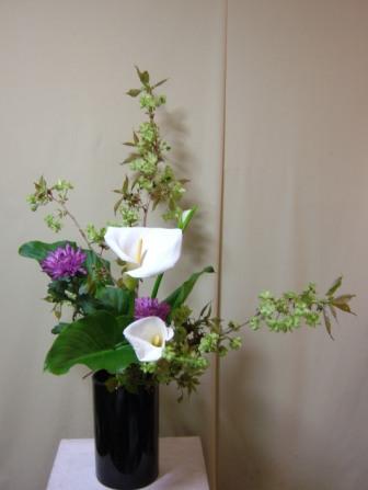 御衣黄桜