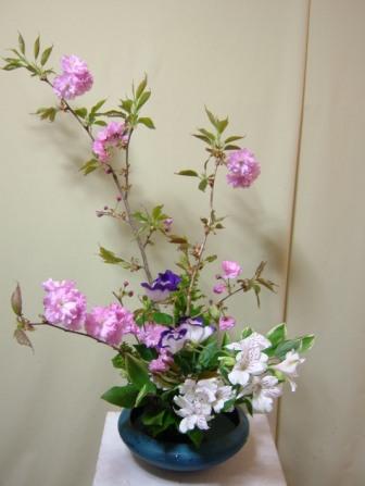 関山桜