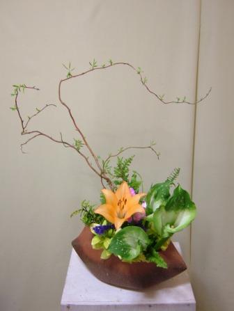 ドラゴン桜
