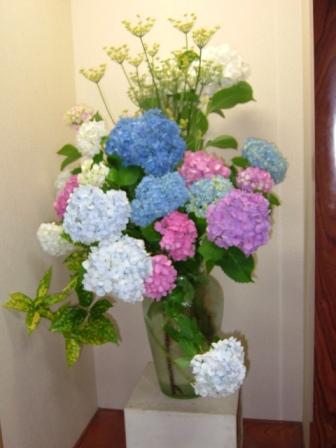 紫陽花
