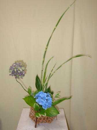 夏の風