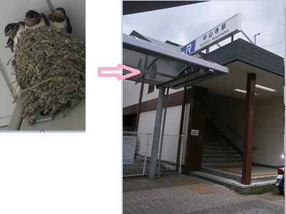 芸短大へ1