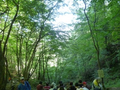 P1020336.JPG