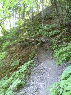 P1020339.JPG