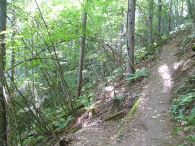 P1020341.JPG
