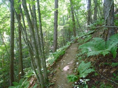 P1020342.JPG