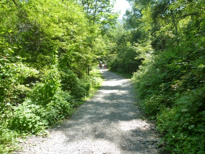 P1020346.JPG