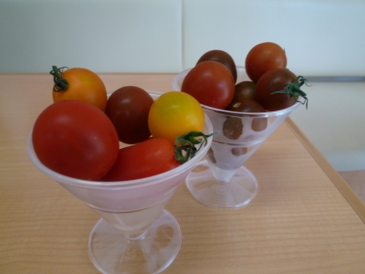 P1020516.JPG