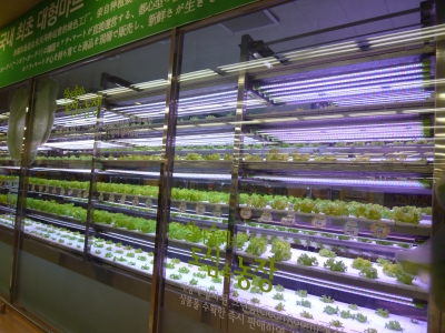 P1030058.JPG