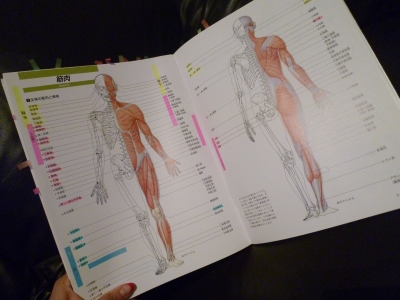 P1030170.JPG