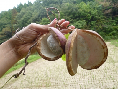 P1030159.JPG