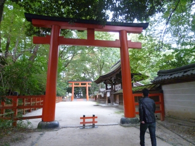 P1030260.JPG