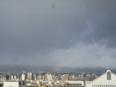 P1040017.JPG