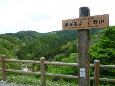 P1040893.JPG