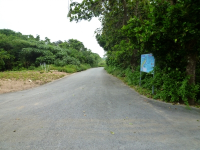 P1050019.JPG