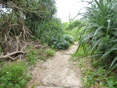 P1050022.JPG