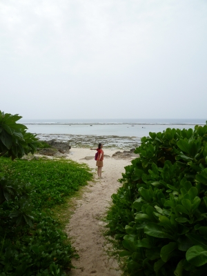 P1050024.JPG