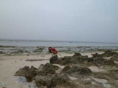 P1050029.JPG