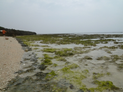 P1050030.JPG