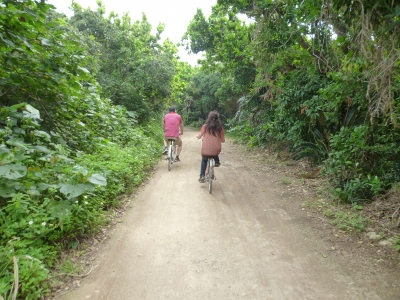 P1050039.JPG