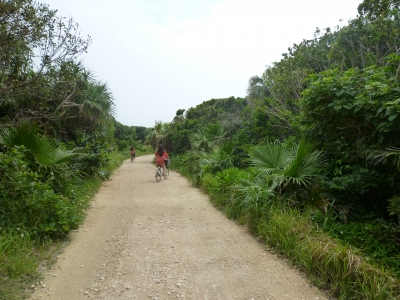 P1050044.JPG